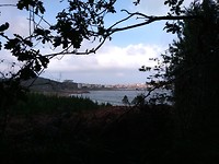 IMG_20181019_124503