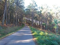 IMG_20181020_132703