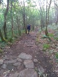 IMG_20190518_094926