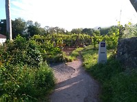 IMG_20190518_090244
