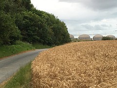 Reuzen champignons ..... nee, een kerncentrale