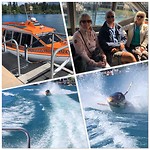 Met de watertaxi een snelle leuke tocht