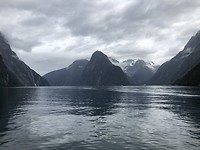 Milford Sound - cruise