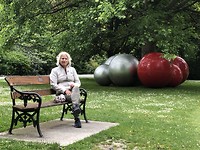 Kerstsfeer in de botanische tuinen