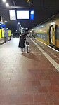 Rotterdam