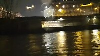 Nachtelijk Parijs met dierlijke raamweerkaatsing