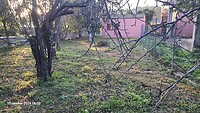 20241015_083003