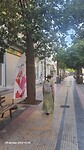 20241029_153405