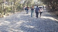 Omhoog naar Acropolis