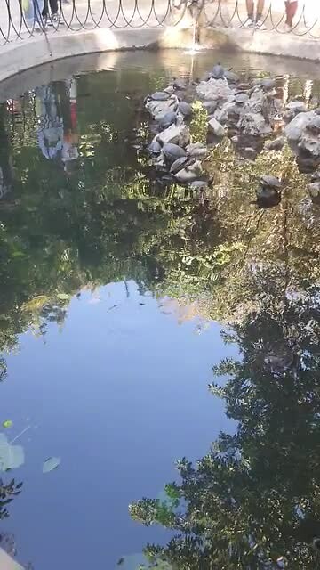 Derde dag park