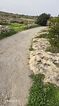 1000117240
