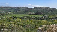 1000120787