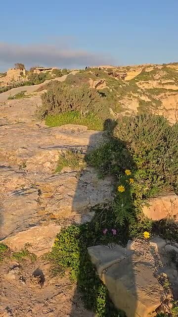 Wandeling naar de kliffen