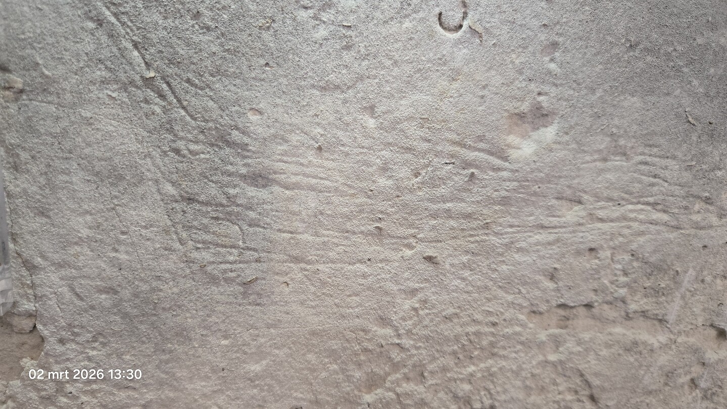 1000122163