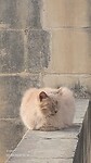 dd7844d7-65c8-4ff6-ba5c-6f074d406385-1_all_223036
