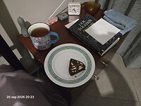1000149214
