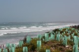 woeste zee