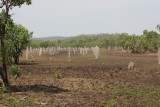 termietenheuvels