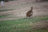 IMG_5580