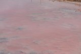 een roze meer ergens onder Jurrien Bay
