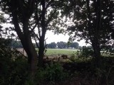 Camping Boschheide