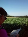 Start wandeling vanuit Heijenrath