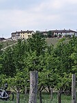PXL_20230505_162009462