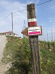 PXL_20230507_082430636