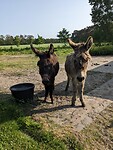 PXL_20230526_160910185