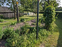 PXL_20230526_160801505.MP