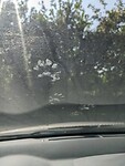 PXL_20230526_145303974