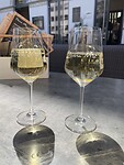 IMG_4651
