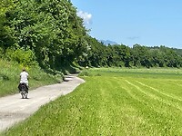 68344527-49ad-43f5-93f1-1e84caa592c7
