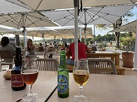 IMG_6753