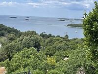 IMG_6769