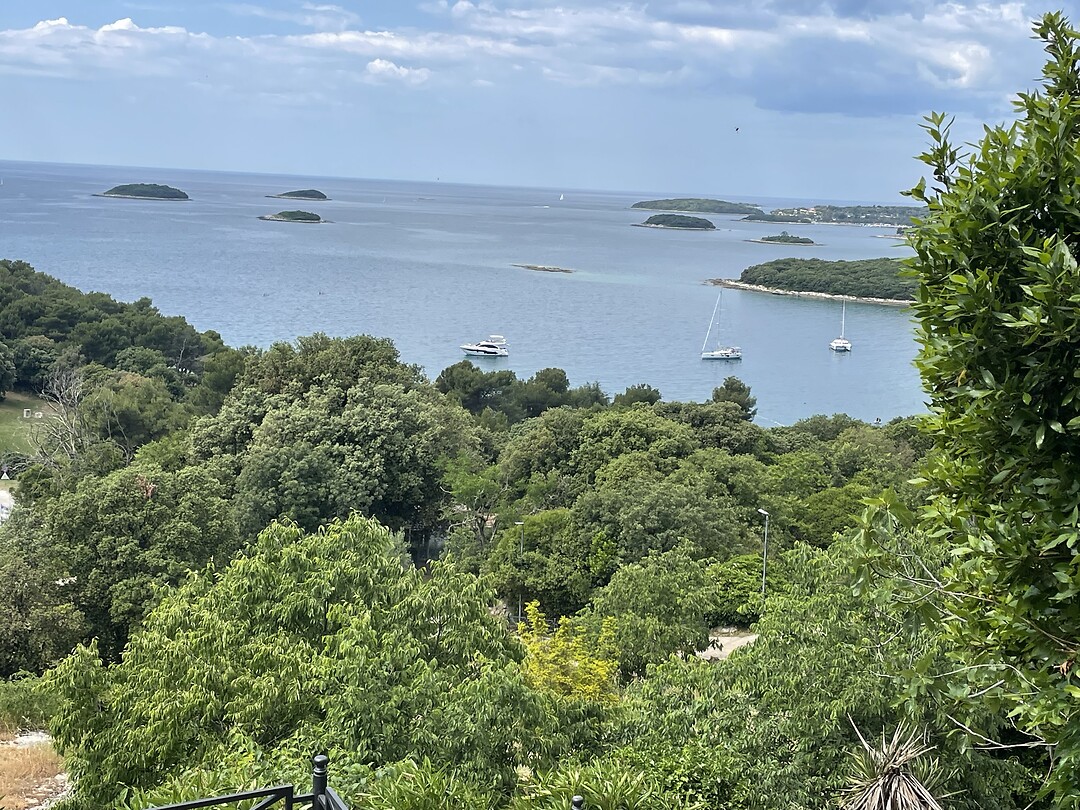 IMG_6769