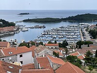 IMG_6763