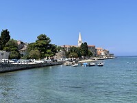 IMG_6775