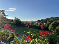 IMG_6961