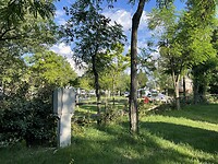IMG_6953