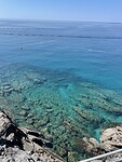IMG_7082