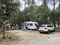 IMG_7197