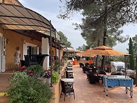 IMG_7193