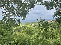 IMG_7227