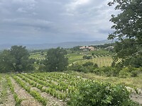IMG_7224