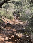 IMG_7251