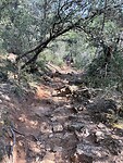 IMG_7250