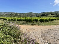 IMG_7252