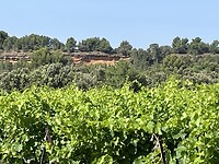 IMG_7258