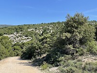 IMG_7271